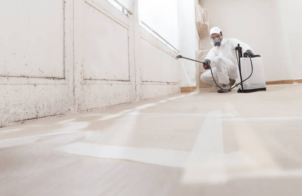 24/7 Emergency Black Mold Remediation experts in Newmanstown, PA